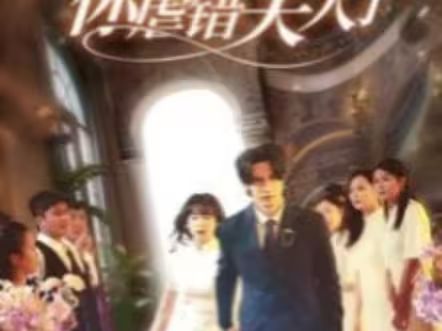 陸總住手吧，你虐錯夫人了(全集)