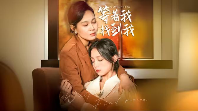 等著我，找到我(全集)
