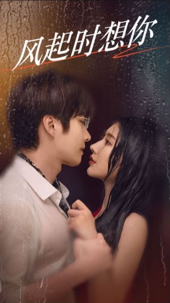 風起時想你(全集)