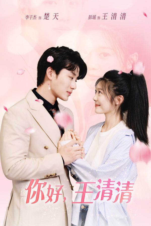 你好，王清清（且以舊火試新茶）(全集)