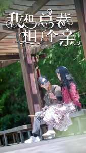 我和總裁相了個(gè)親(全集)