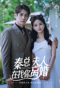 秦總，夫人在找你離婚(全集)