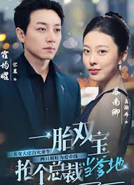 一胎雙寶，搶個總裁當?shù)?全集)