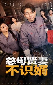 慈母賢妻不識(shí)婿(全集)