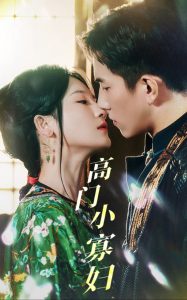 高門(mén)小寡婦(全集)