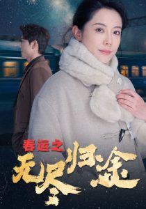 春運(yùn)之無(wú)盡歸途(全集)