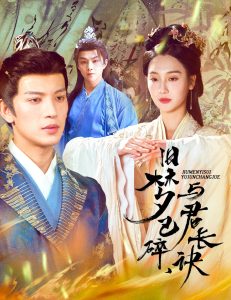 舊夢(mèng)已碎，與君長(zhǎng)訣＆終是深情錯(cuò)付君(全集)