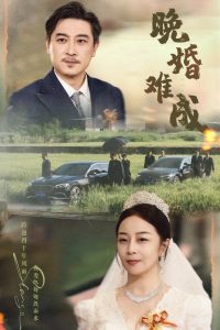 晚婚難成(全集)