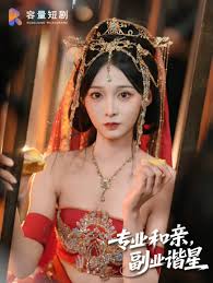 專業(yè)和親，副業(yè)諧星(全集)