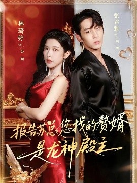報告蘇總，您找的贊婿是龍神殿主(全集)