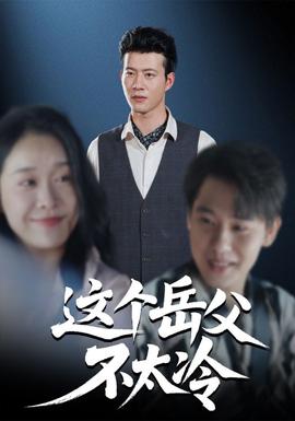 這個(gè)岳父不太冷(全集)