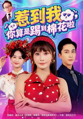 惹到我，你算是踢到棉花啦(全集)