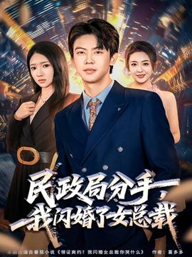 民政局分手，我閃婚了女總裁(全集)
