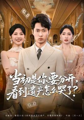 當(dāng)初是你要分開，看到遺產(chǎn)怎么哭了？(全集)