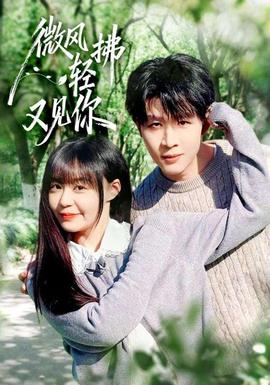 微風(fēng)輕拂又見(jiàn)你(全集)