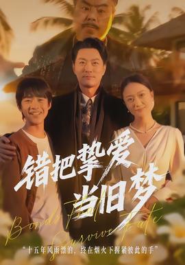 錯(cuò)把摯愛當(dāng)舊夢(全集)