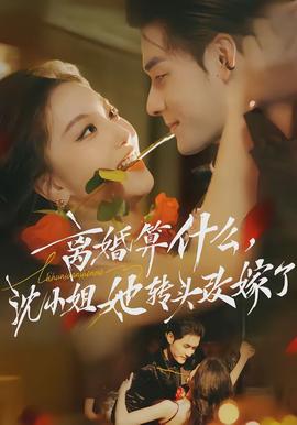 離婚算什么，沈小姐她轉(zhuǎn)頭改嫁了(全集)