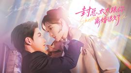 封總，太太跟你離婚很久了(全集)