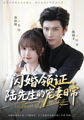 閃婚領(lǐng)證，陸先生的寵妻日常(全集)