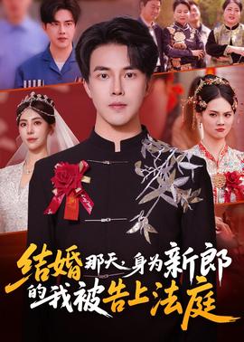 結(jié)婚那天，身為新郎的我被告上法庭(全集)