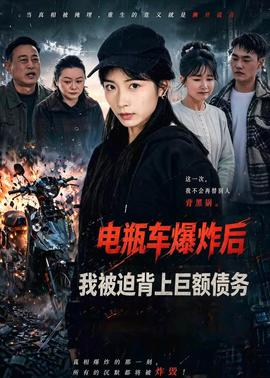 電瓶車爆炸后，我被迫背上巨額債務(wù)(全集)