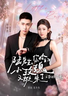 陸先生，你撿的小玫瑰又掀桌了之荊棘玫瑰(全集)