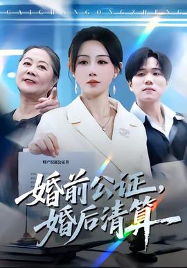 婚前公證，婚后清算(全集)